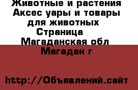 Животные и растения Аксесcуары и товары для животных - Страница 2 . Магаданская обл.,Магадан г.